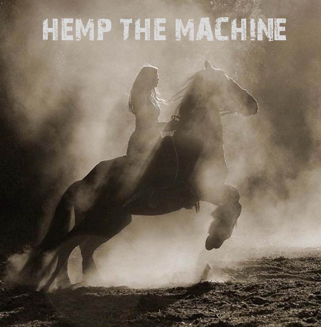 The Health Benefits of Hemp for our furry friends!