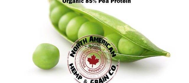 Is Pea Protein The New ‘It’ Ingredient Replacing Soy?