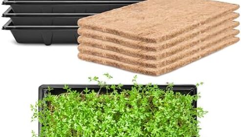 Pack 5 Seed Sprouter Tray with Plant Hemp Fiber Develop Mat,Microgreens Rising Package for Seedling Wheatgrass Hydroponic,Wheatgrass Sprouting Tray, Greenhouse Seed Starter Trays (5 Pack)