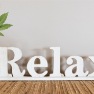 CBD for Rest: Exploring Its Many Roles