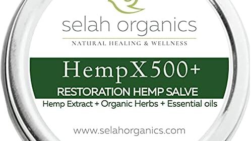 500mg Natural Hemp Superior Restoration Salve | Quick Performing Plant-Primarily based Hemp Balm | Muscle, Joint & Nerve Help | Prolonged Launch, Lengthy Lasting, Concentrated Components | 2oz | Selah Organics
